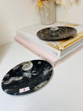 Load image into Gallery viewer, Polished Fossil Ammonite Orthoceras oval Bowl - home decor