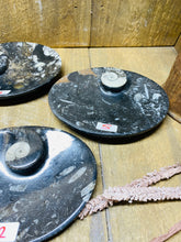 Load image into Gallery viewer, Polished Fossil Ammonite Orthoceras oval Bowl - home decor