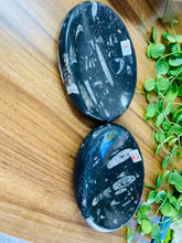 Load image into Gallery viewer, Polished Fossil Ammonite Orthoceras oval Bowl - home decor