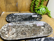Load image into Gallery viewer, Polished Fossil Ammonite Orthoceras rectangle plates