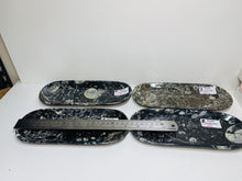 Load image into Gallery viewer, Polished Fossil Ammonite Orthoceras rectangle plates
