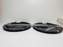 Load image into Gallery viewer, Polished Fossil Ammonite Orthoceras round plates