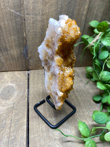 Small Citrine crystal on black stand