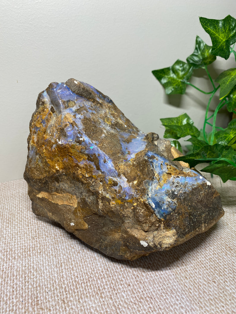 Australian Boulder Opal - home decor display piece
