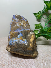 Load image into Gallery viewer, Australian Boulder Opal - home decor display piece