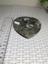 Load image into Gallery viewer, Fossil Orthoceras bowl - home decor