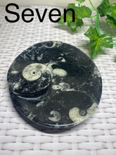 Load image into Gallery viewer, Fossil Orthoceras bowl - home decor