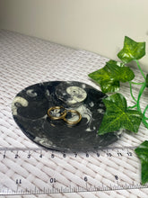 Load image into Gallery viewer, Fossil Orthoceras bowl - home decor