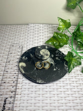 Load image into Gallery viewer, Fossil Orthoceras bowl - home decor