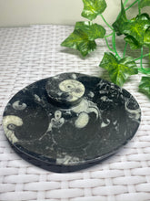 Load image into Gallery viewer, Fossil Orthoceras bowl - home decor