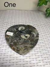 Load image into Gallery viewer, Fossil Orthoceras bowl - home decor