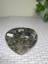 Load image into Gallery viewer, Fossil Orthoceras bowl - home decor