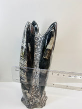 Load image into Gallery viewer, Freestanding Fossil Orthoceras statute