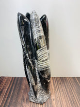 Load image into Gallery viewer, Freestanding Fossil Orthoceras statute