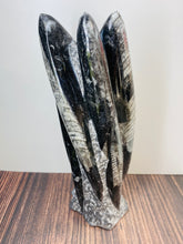 Load image into Gallery viewer, Freestanding Fossil Orthoceras statute