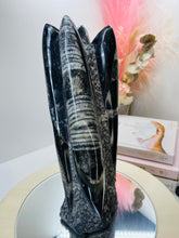 Load image into Gallery viewer, Freestanding Fossil Orthoceras statute