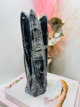 Load image into Gallery viewer, Freestanding Fossil Orthoceras statute