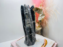 Load image into Gallery viewer, Freestanding Fossil Orthoceras statute