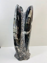 Load image into Gallery viewer, Freestanding Fossil Orthoceras statute