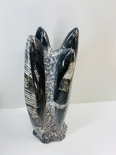 Load image into Gallery viewer, Freestanding Fossil Orthoceras statute