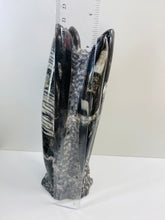 Load image into Gallery viewer, Freestanding Fossil Orthoceras statute