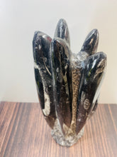 Load image into Gallery viewer, Freestanding Fossil Orthoceras statute