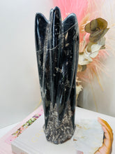 Load image into Gallery viewer, Freestanding Fossil Orthoceras statute