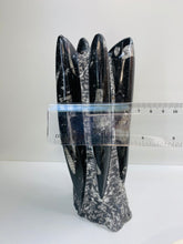 Load image into Gallery viewer, Freestanding Fossil Orthoceras statute
