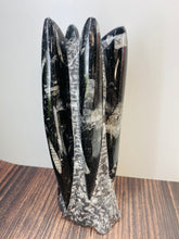 Load image into Gallery viewer, Freestanding Fossil Orthoceras statute