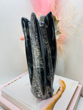 Load image into Gallery viewer, Freestanding Fossil Orthoceras statute