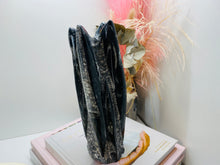 Load image into Gallery viewer, Freestanding Fossil Orthoceras statute