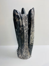 Load image into Gallery viewer, Freestanding Fossil Orthoceras statute