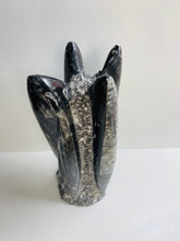 Load image into Gallery viewer, Freestanding Fossil Orthoceras statute