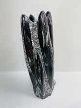 Load image into Gallery viewer, Freestanding Fossil Orthoceras statute