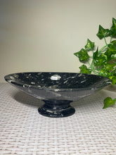 Load image into Gallery viewer, Large Fossil Orthoceras bowl - home decor