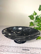 Load image into Gallery viewer, Large Fossil Orthoceras bowl - home decor
