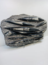 Load image into Gallery viewer, Large Fossil Orthoceras on display stand