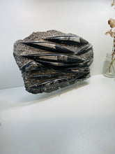 Load image into Gallery viewer, Large Fossil Orthoceras on display stand