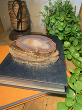 Load image into Gallery viewer, Set of 4 Natural polished Agate Slice drink coasters with Gold Electroplating around the edges 03
