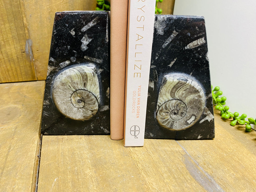 Fossil Ammonite book ends