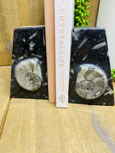 Load image into Gallery viewer, Fossil Ammonite book ends