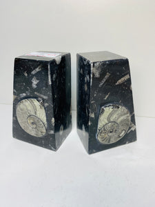 Fossil Ammonite book ends