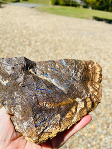 Australian Boulder Opal, natural stone found in Queensland Australia