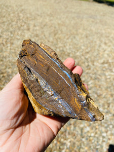 Australian Boulder Opal, natural stone found in Queensland Australia