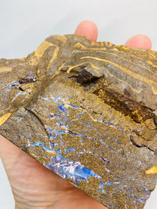 Australian Boulder Opal, natural stone found in Queensland Australia