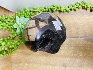 Black Septarian with geode