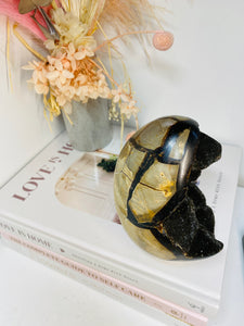 Black Septarian with geode