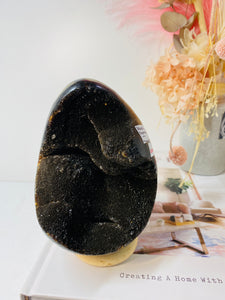 Black Septarian with geode