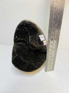 Black Septarian with geode