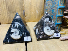 Load image into Gallery viewer, Fossil Ammonite Orthoceras Pyramids